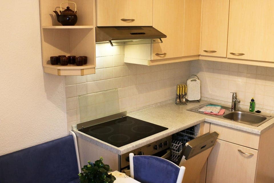 Kitchen or kitchenette, dishwasher, pet friendly, stove, towels