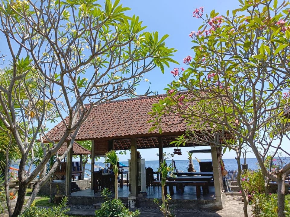 Garden, View (from property/room)