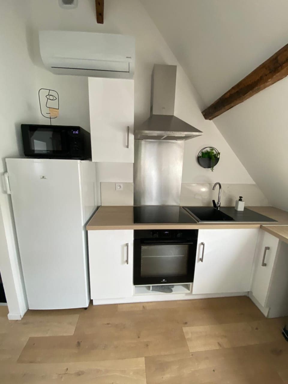 Kitchen or kitchenette, oven, stove