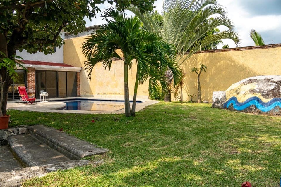 Garden, Garden view, Swimming pool