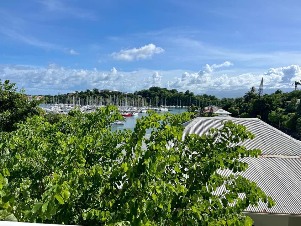 Sea view