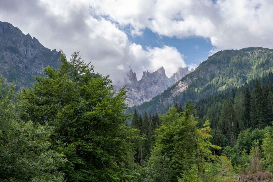 View (from property/room)