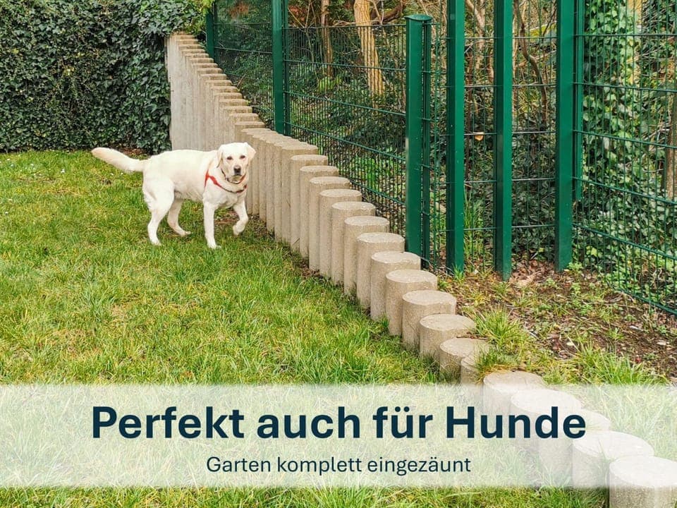 Garden, Pets, pet friendly, pet friendly