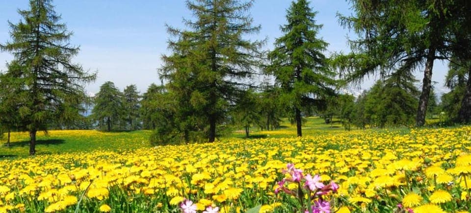 Off site, Natural landscape, Hiking