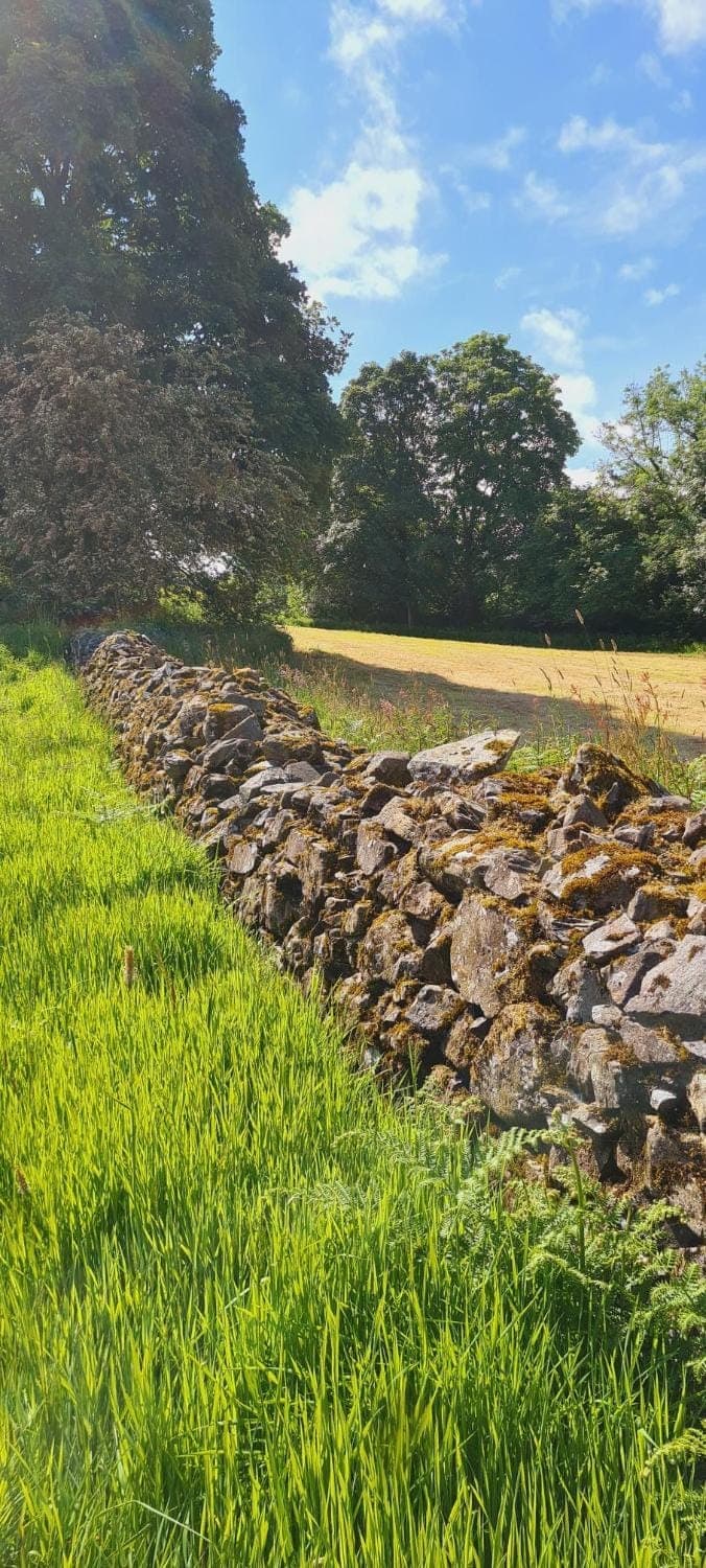 Natural landscape