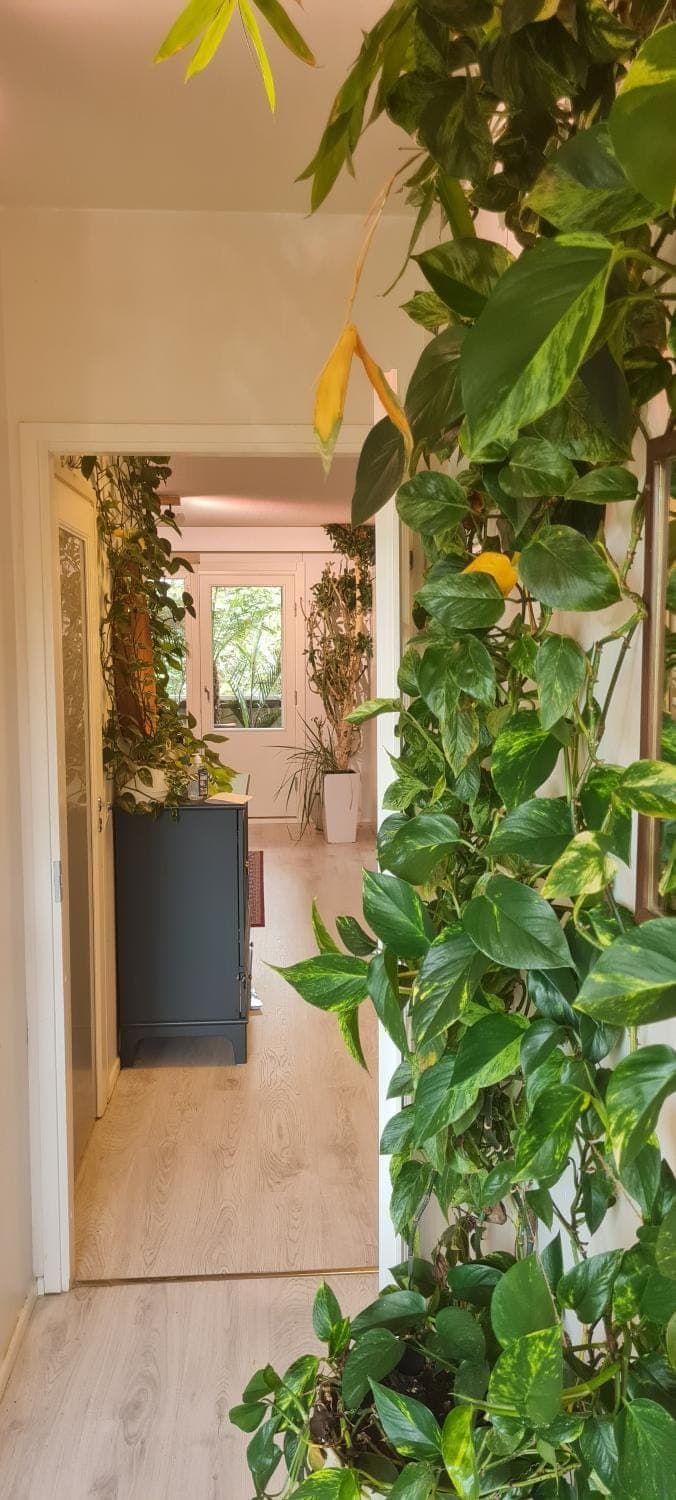 Paradise apartment Apartment in Helsinki