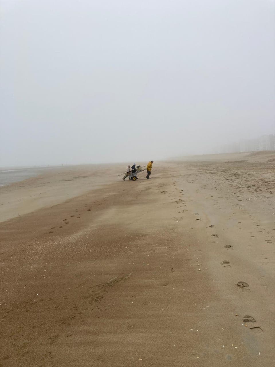 Day, Natural landscape, Beach