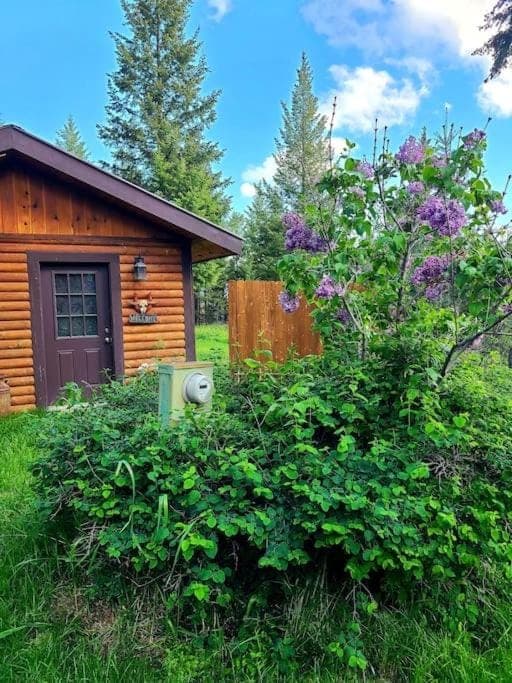 KM Ranch Hideaway Cabin Cabin in Whitefish