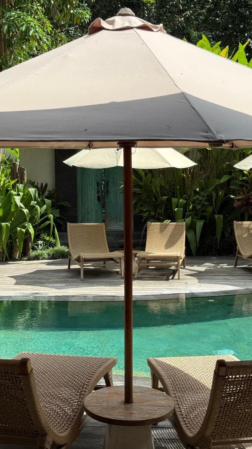 Garden, Pool view, Swimming pool, sunbed