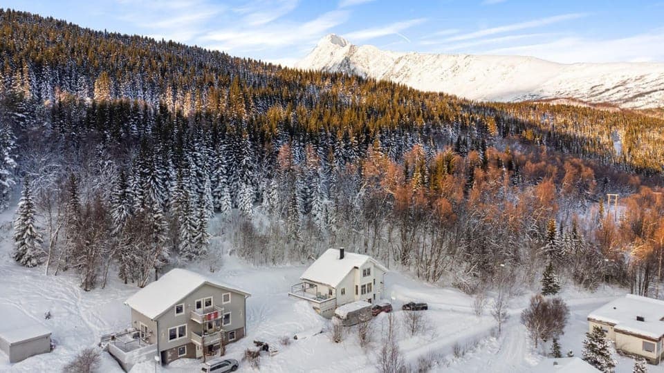 Bird's eye view, Winter