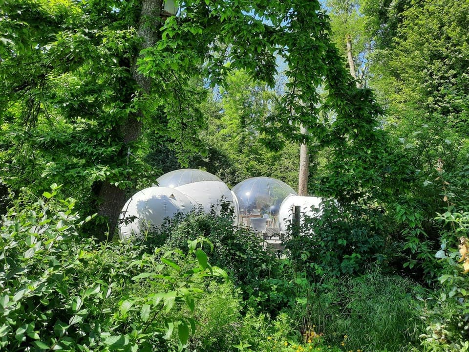 Natural landscape, Garden