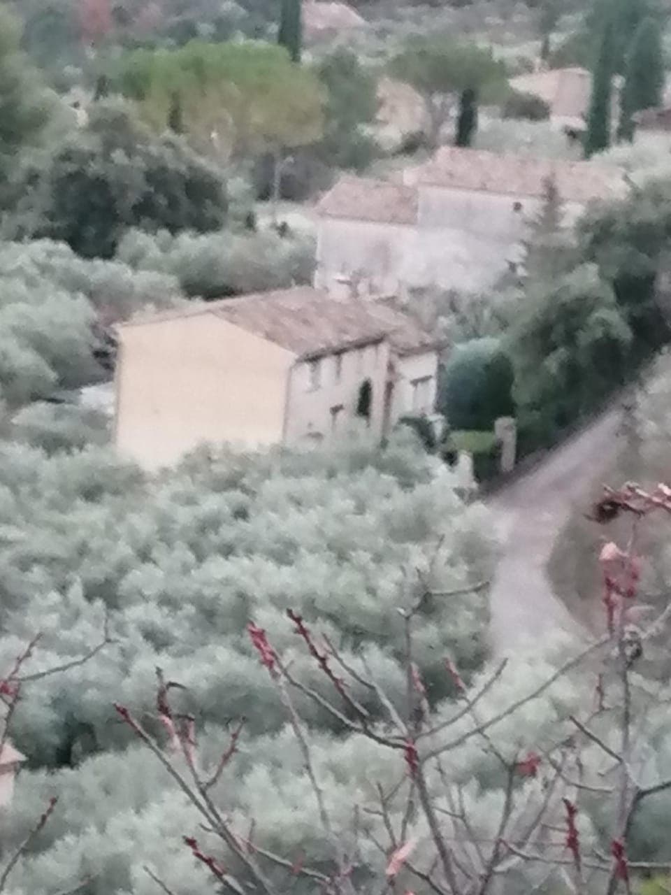 Day, Natural landscape, Garden view, Garden view