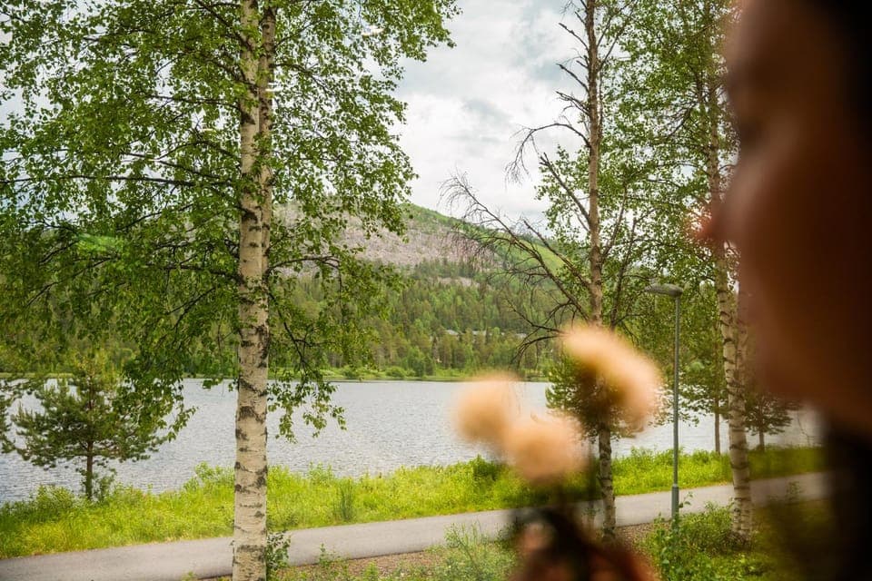 View (from property/room)