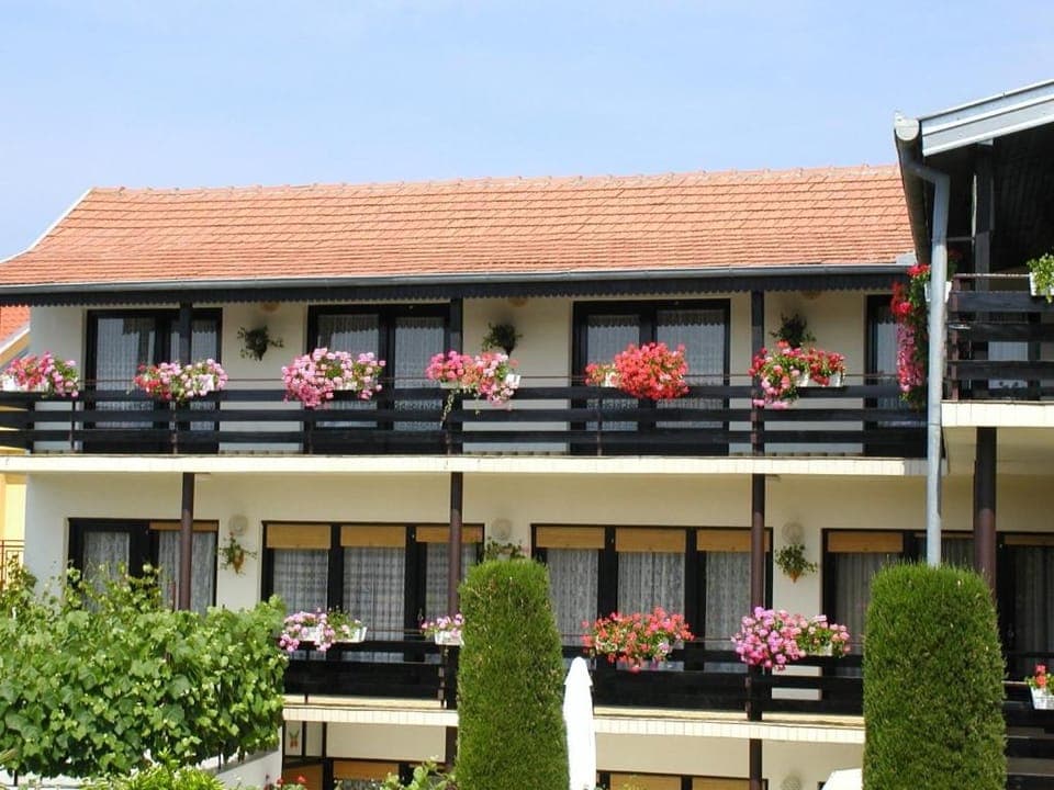Patio, Garden, Garden view