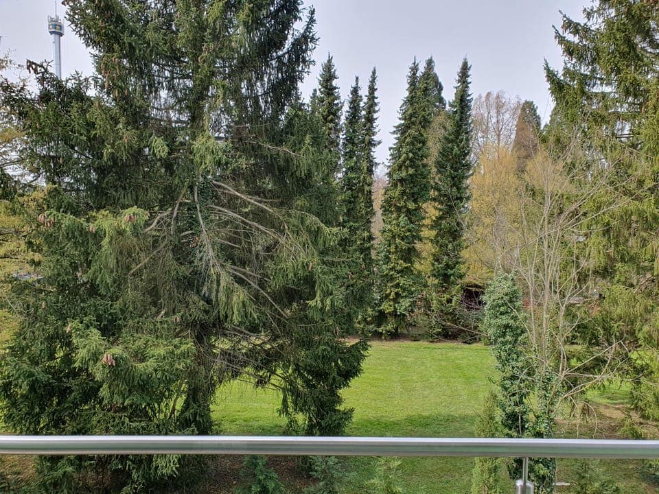 Spring, Natural landscape, Garden, View (from property/room), Garden view