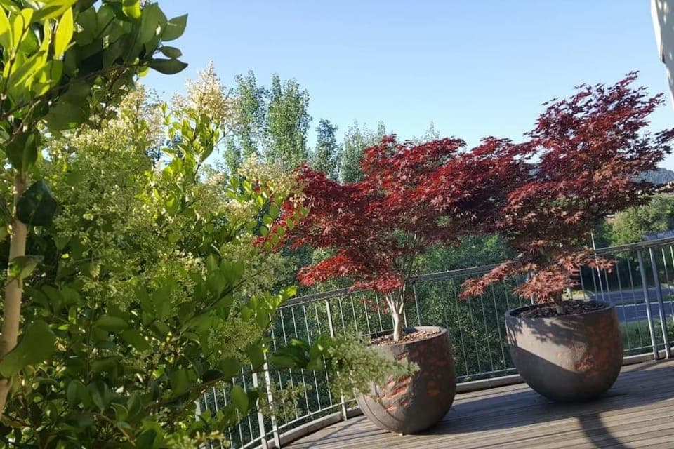 Garden, Balcony/Terrace
