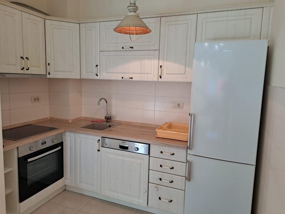 Kitchen or kitchenette, dishwasher, pet friendly, stove