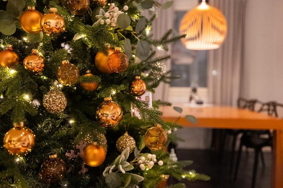 Communal lounge/ TV room, TV and multimedia, Living room, Seating area, Dining area