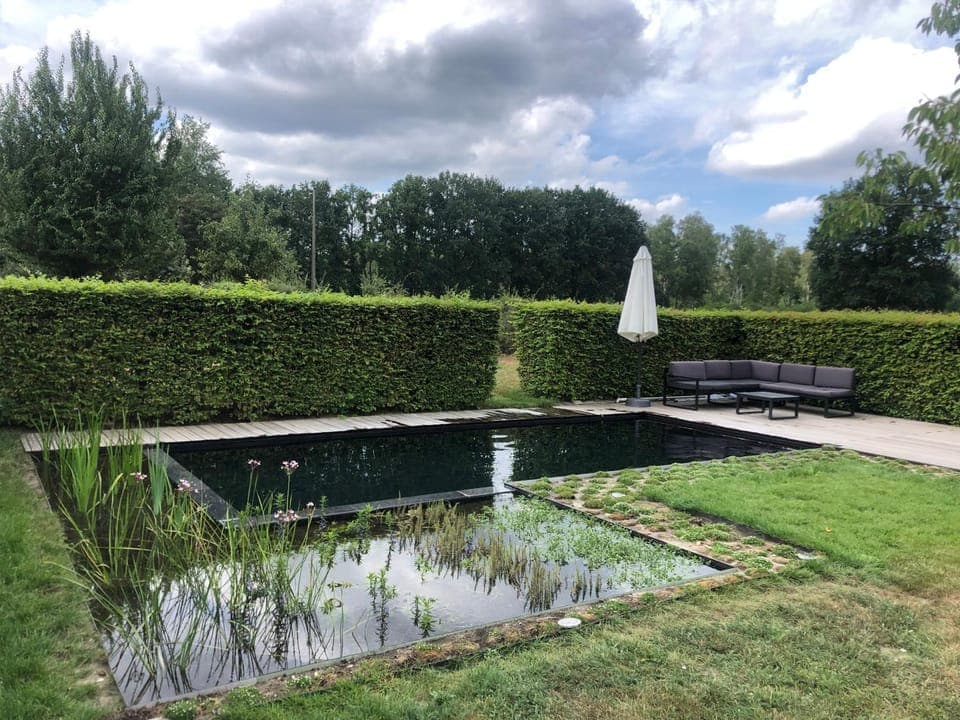 Garden, Swimming pool, Swimming pool