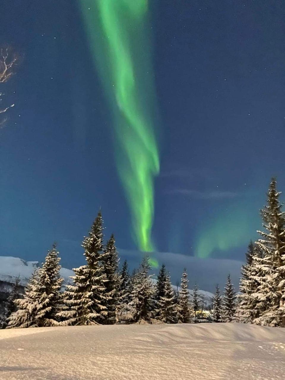 Natural landscape, Winter, View (from property/room)