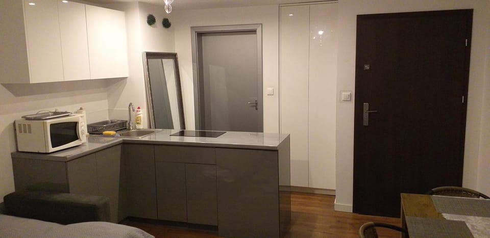 Kitchen or kitchenette, minibar, stove