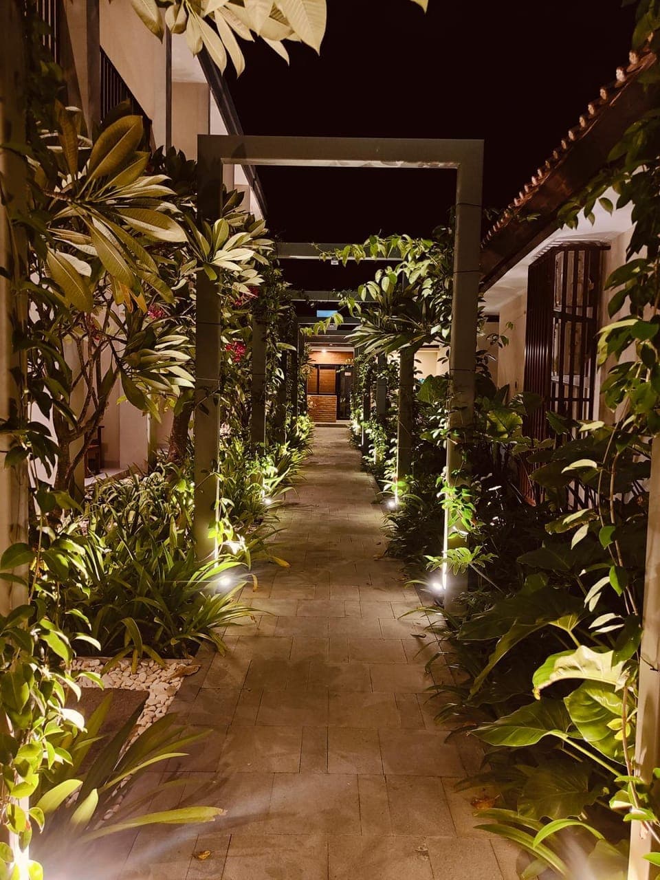 Night, Garden, Garden view