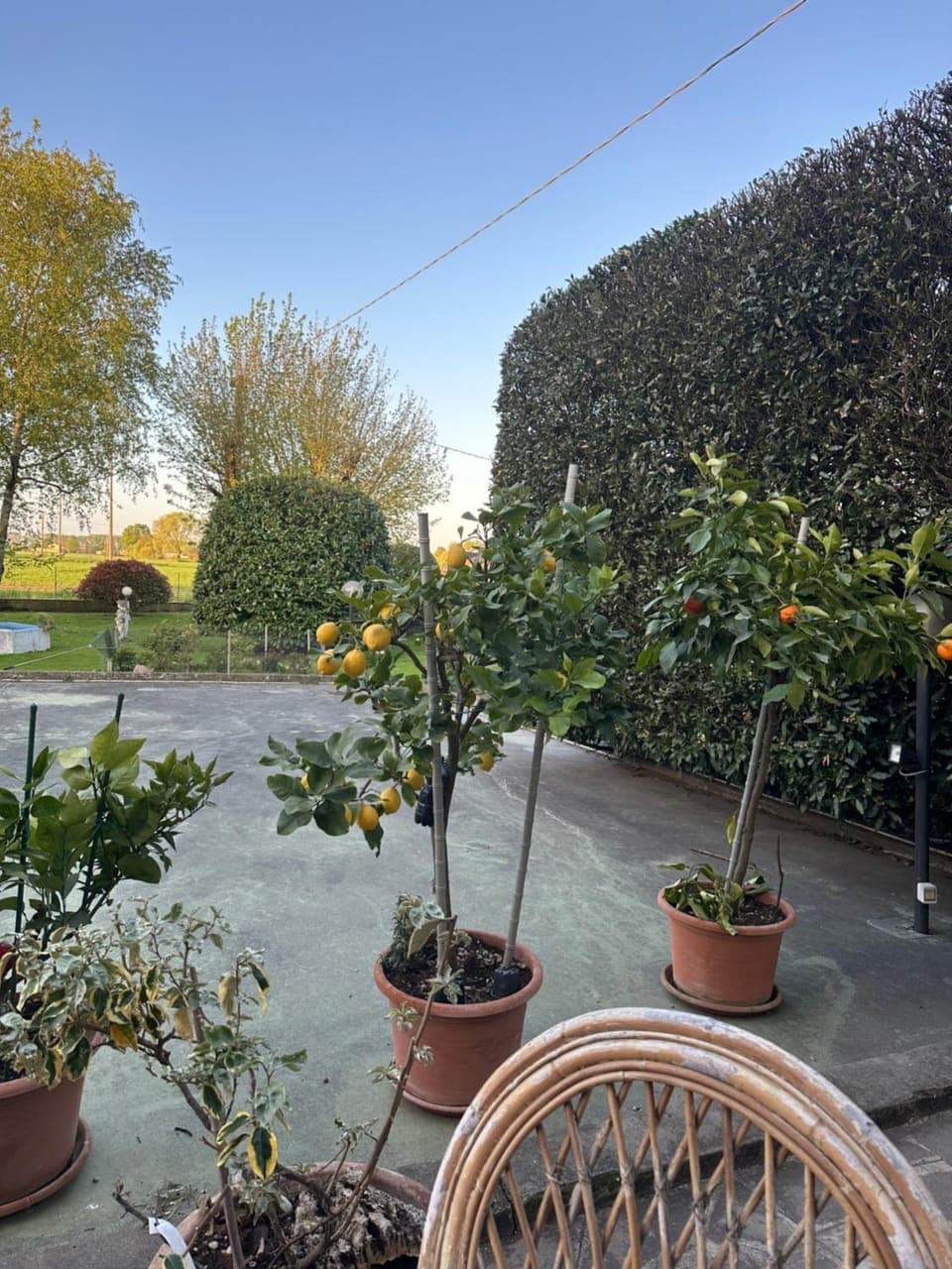 View (from property/room)