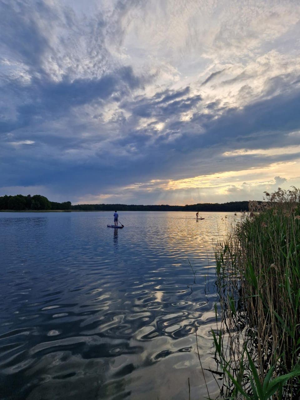 Natural landscape, Beach, Lake view