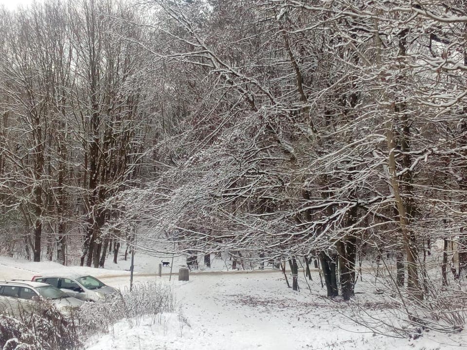 Natural landscape, Windsurfing, Hiking