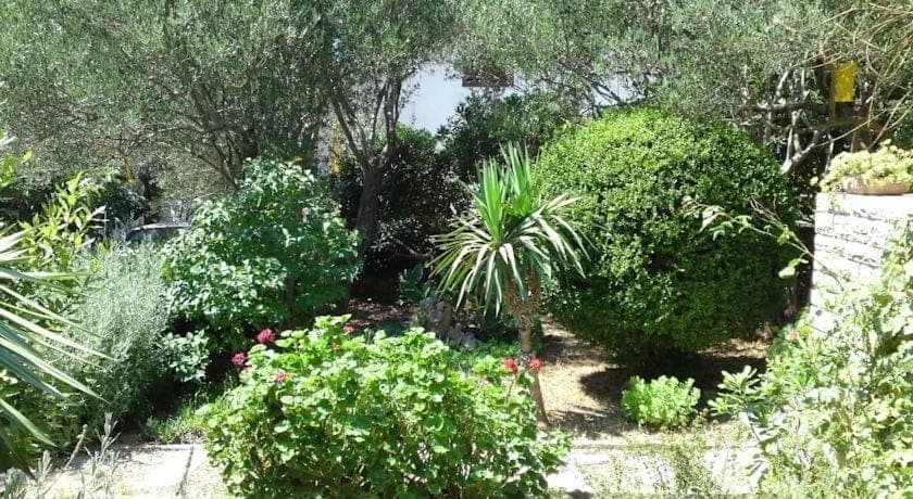 Patio, Garden, Garden view