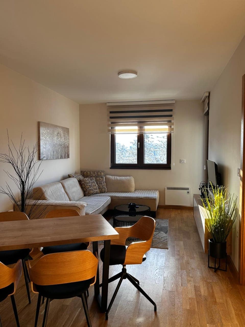 TV and multimedia, Living room, Photo of the whole room, Seating area