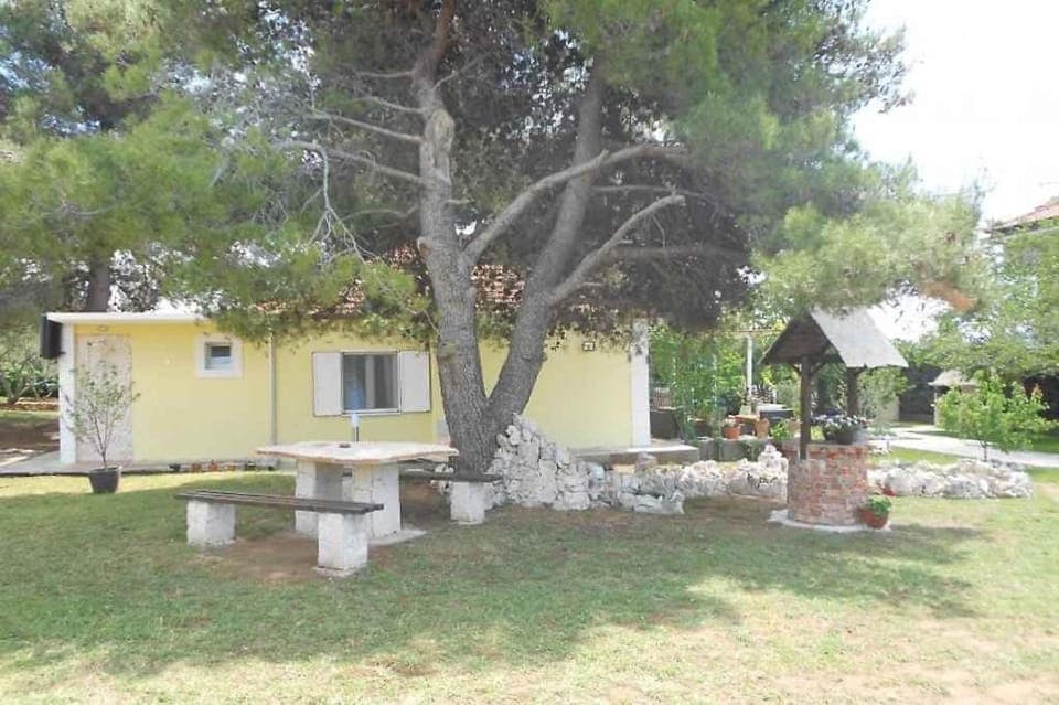 Property building, Summer, Garden