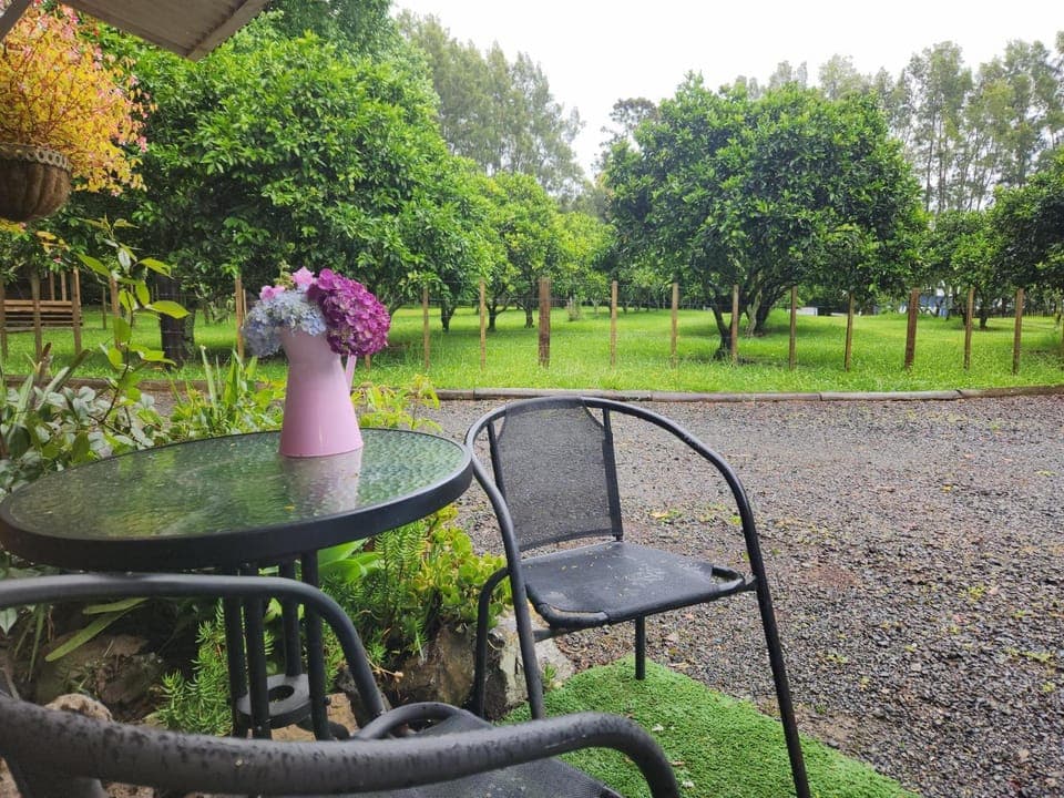 Garden, Seating area, Garden view