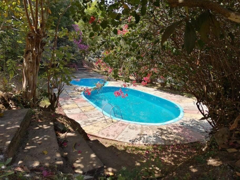 Garden, Pool view, Swimming pool