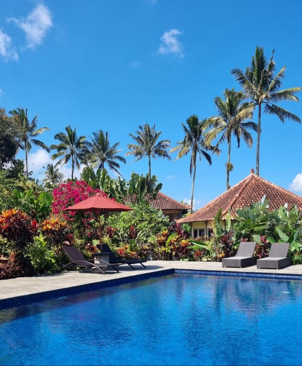 Property building, Swimming pool, sunbed