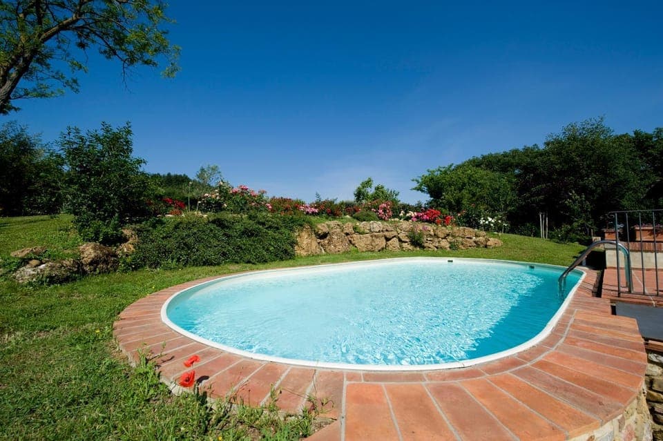Natural landscape, Garden, Swimming pool