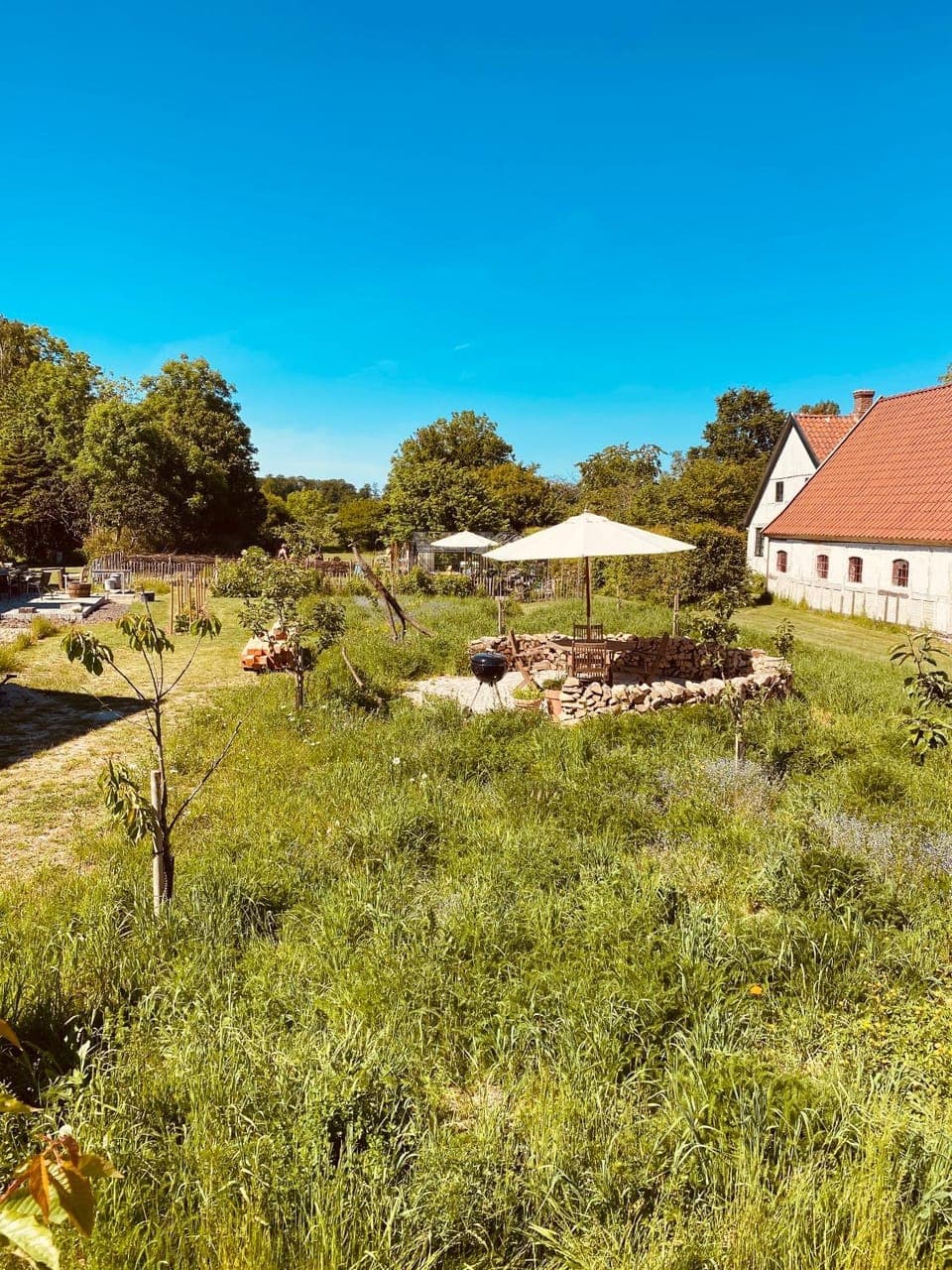 Garden, Garden, Garden view, Garden view