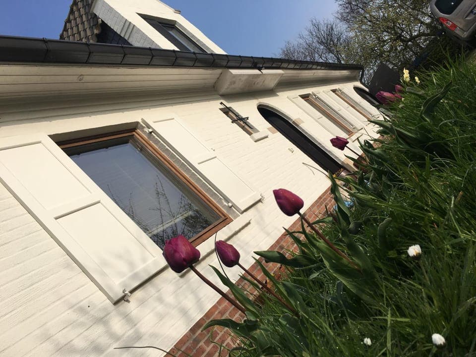 Facade/entrance, Garden, Garden view