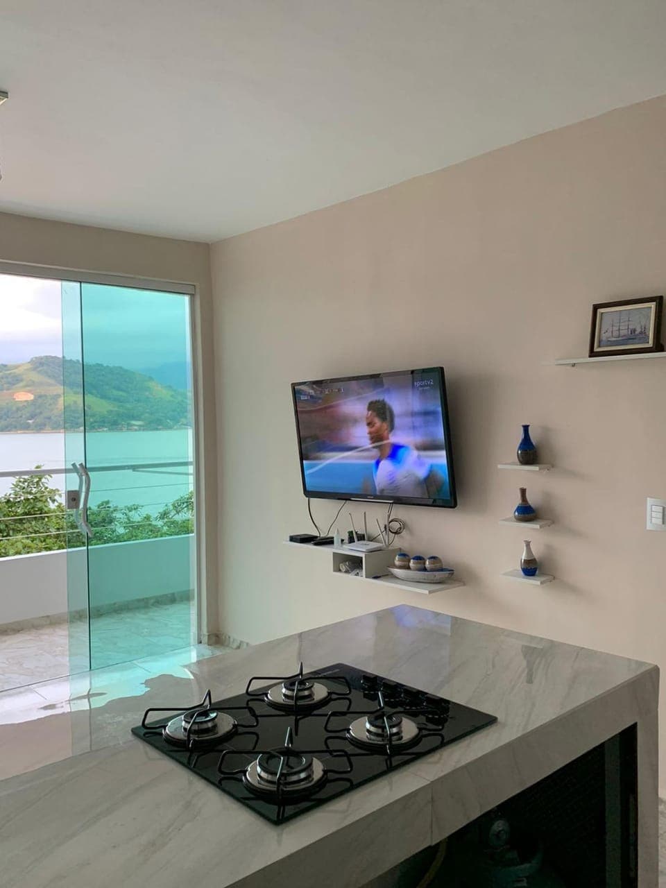 TV and multimedia, Kitchen or kitchenette, Living room, pet friendly, stove