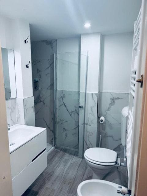 Shower, Toilet, Bathroom, bidet