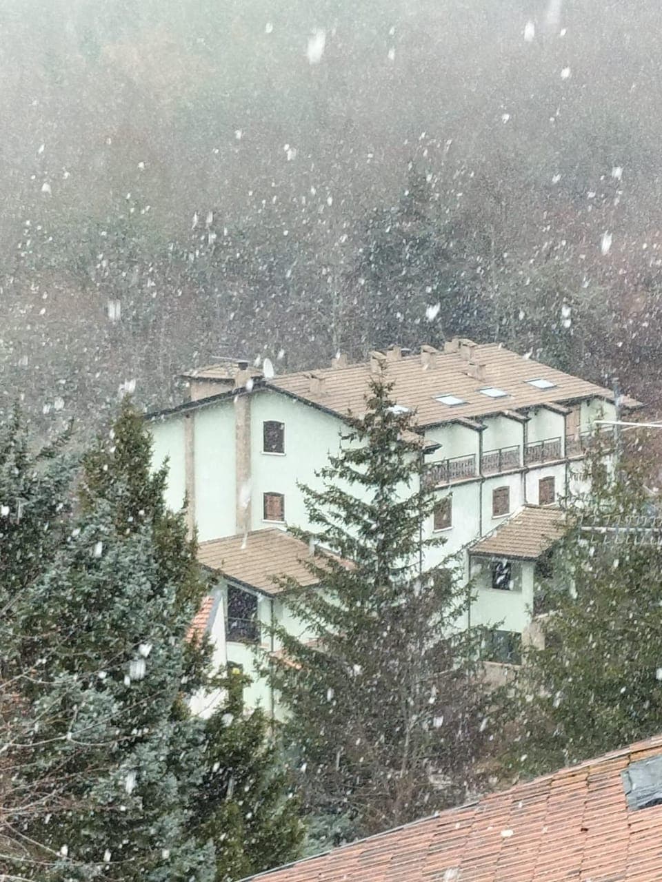 Natural landscape, Winter