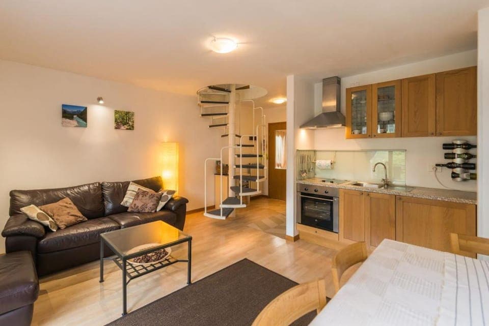 Kitchen or kitchenette, Living room, Photo of the whole room, Seating area, oven, stove