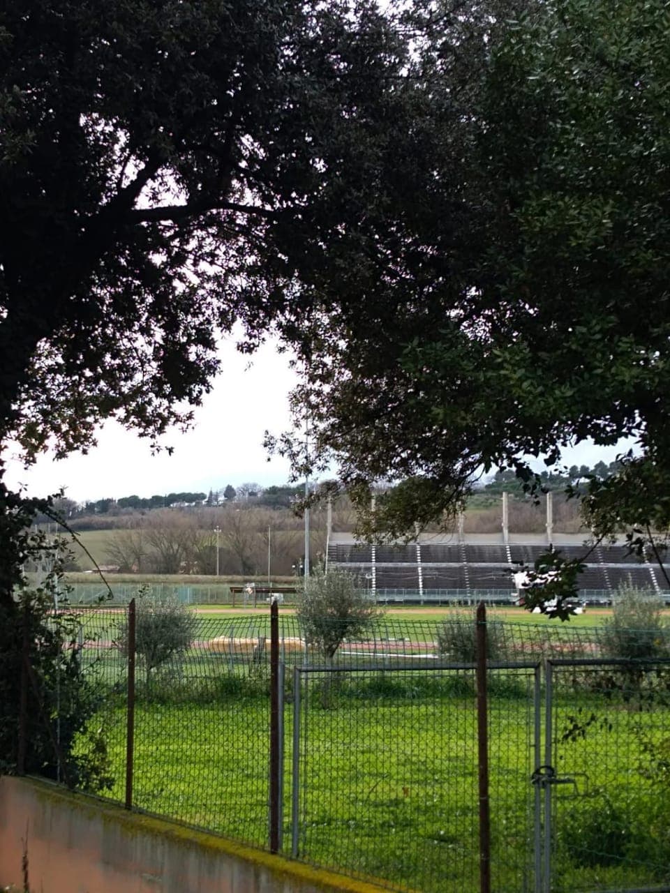 Property building, Garden view