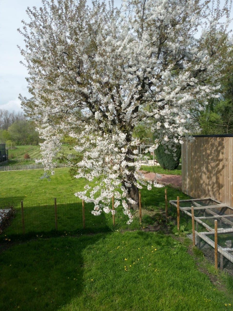 Spring, View (from property/room), Garden view