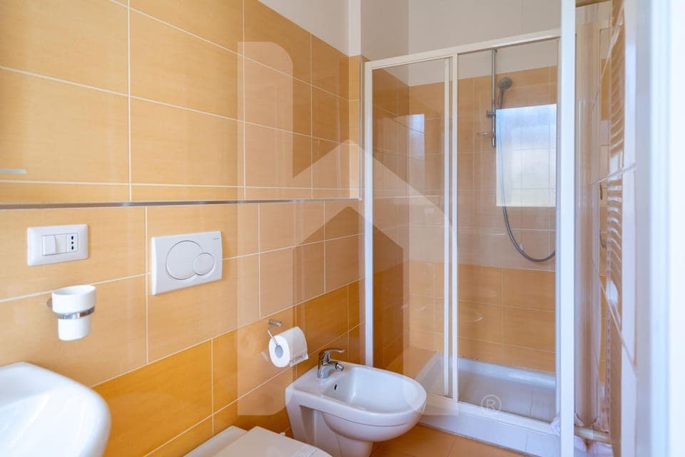 Shower, Toilet, Bathroom, bidet