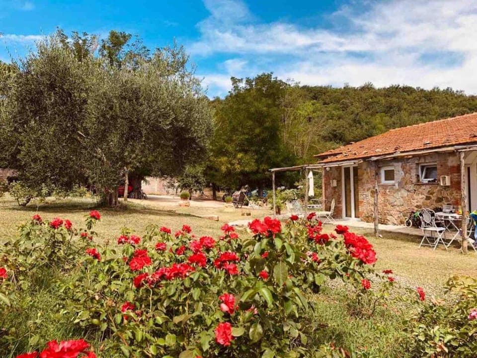 Property building, Garden, Garden