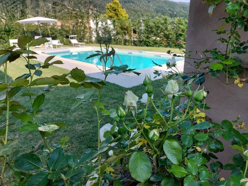 Garden view, Pool view