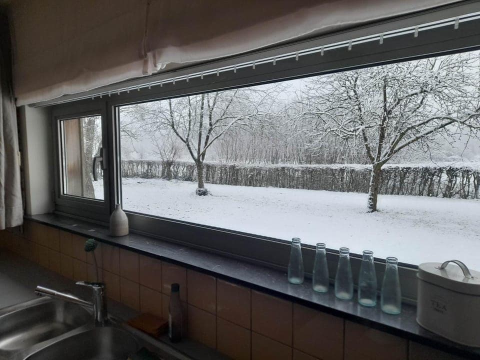 Natural landscape, Winter, View (from property/room)
