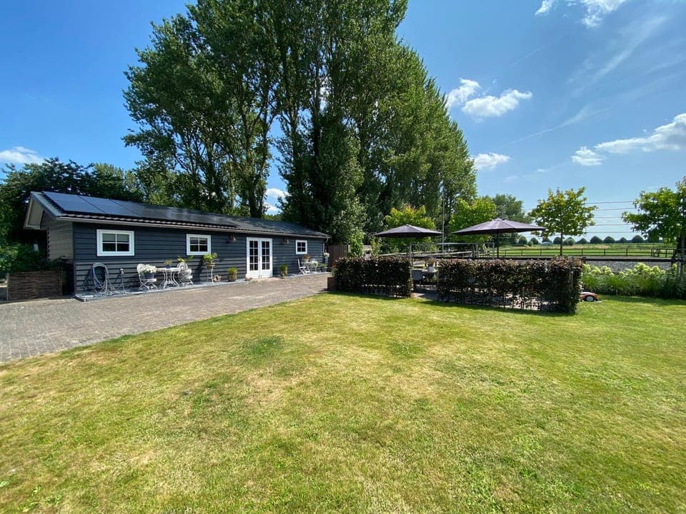 Property building, Spring, Day, Garden