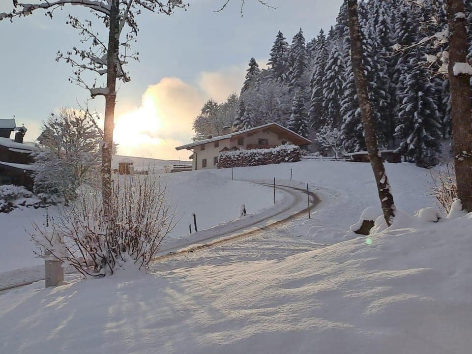 Day, Natural landscape, Winter